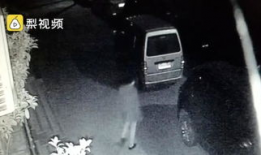 打女孩屁股视频,揭秘打女孩屁股视频事件