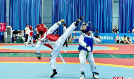 跆拳道比赛视频,激情对决，精彩瞬间回顾